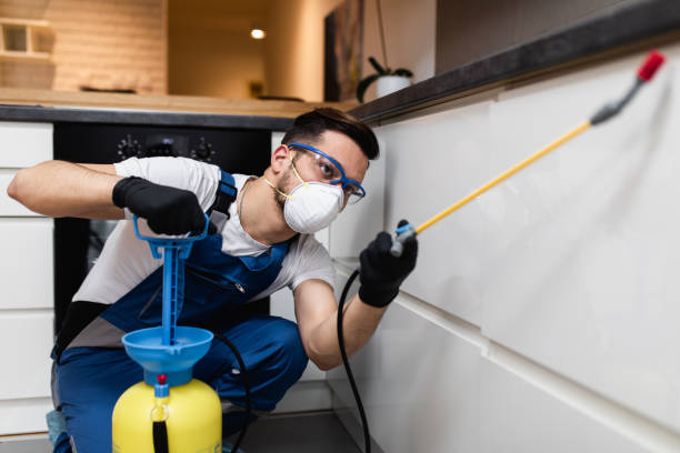 Best Pest Removal Services  in Marshall, MN