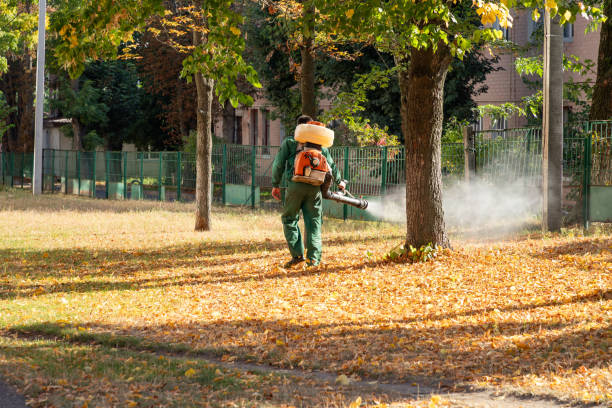 Best Best Pest Control Companies  in Marshall, MN