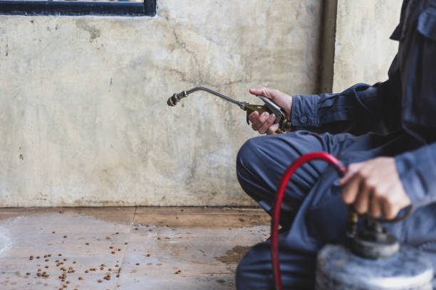 Best Affordable Pest Control Services  in Marshall, MN